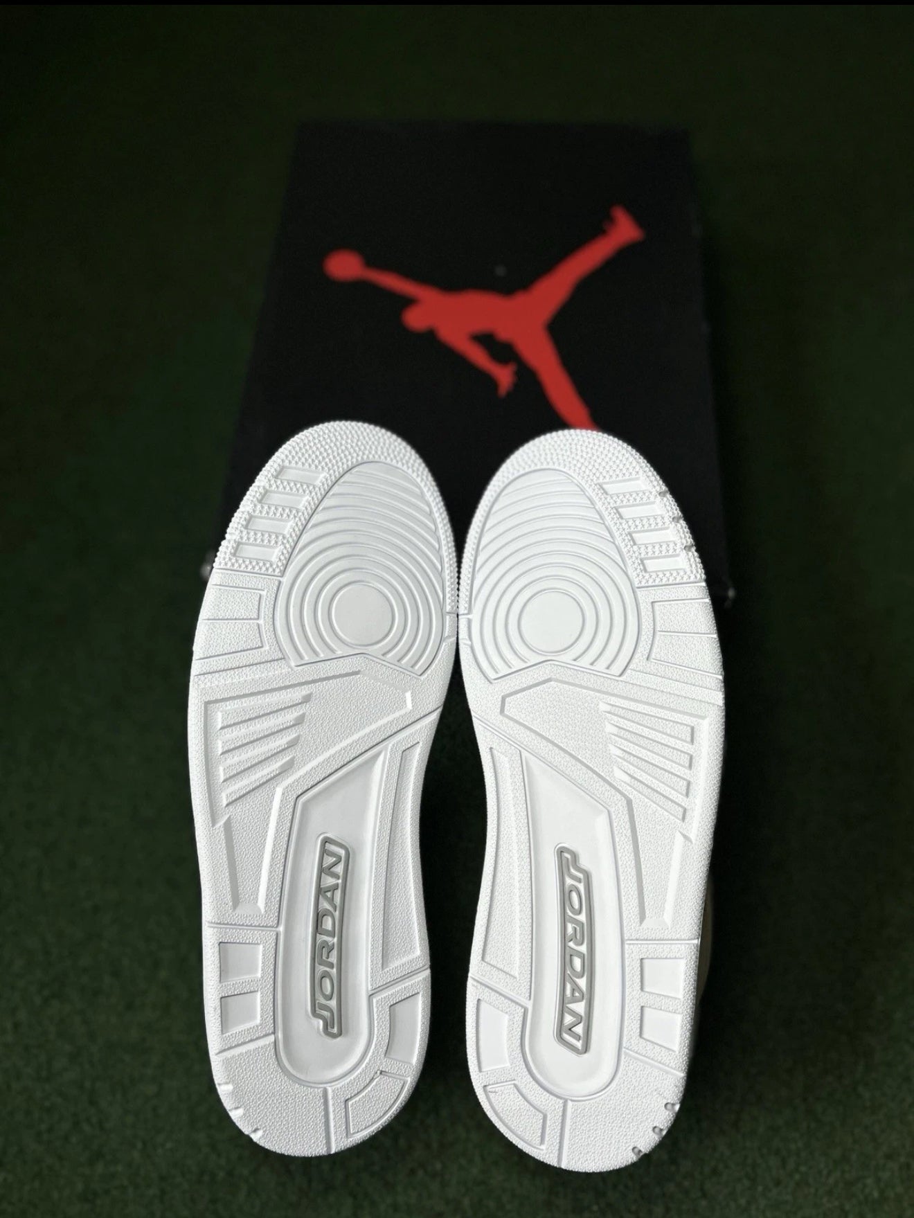 Jordan 3 Retro Pure Money (2025)